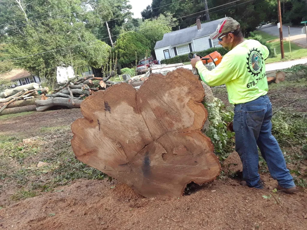 Tree Removal