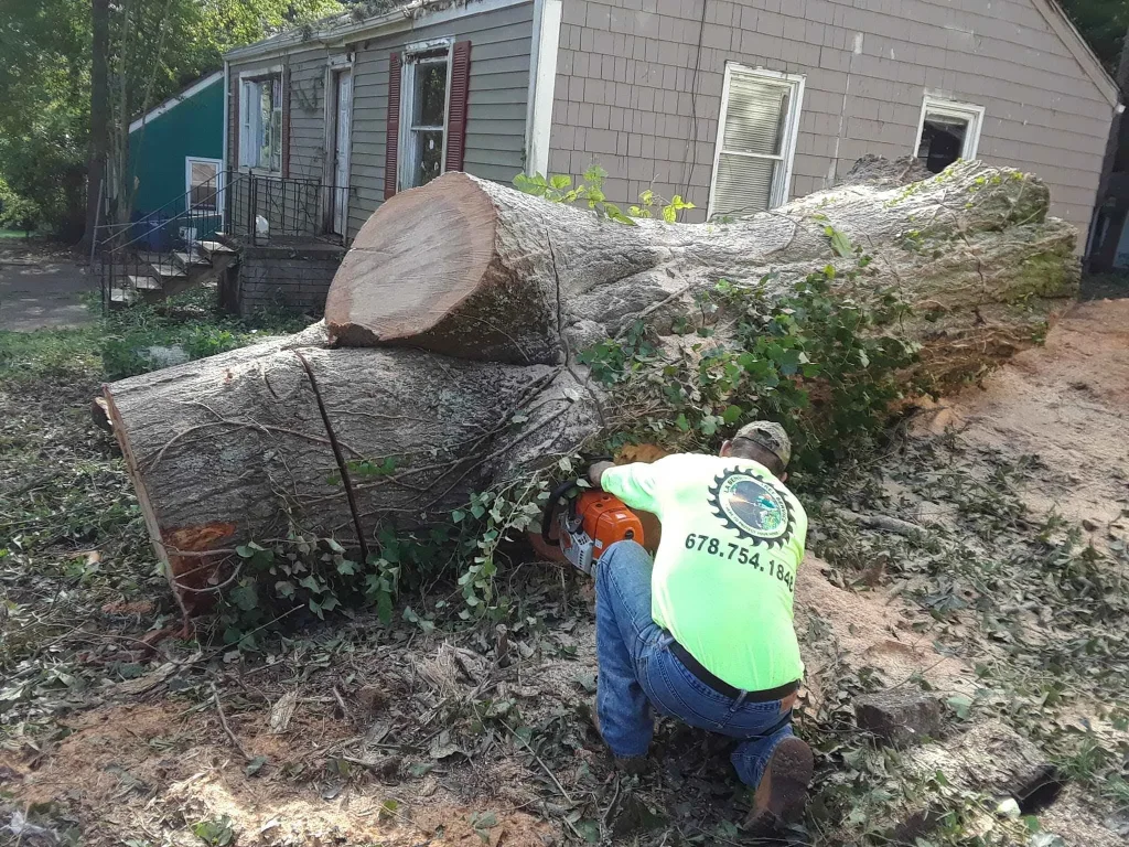 Tree removal crew cutting a large trunk on a residential property in Atlanta