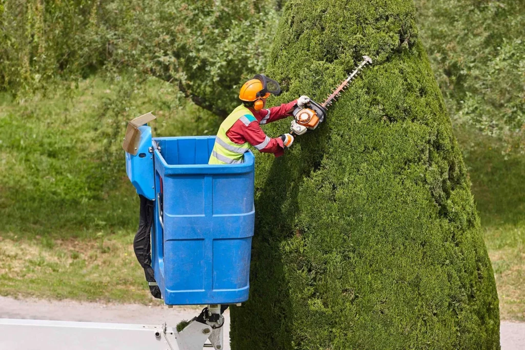 Tree trimming in progress above a residential property